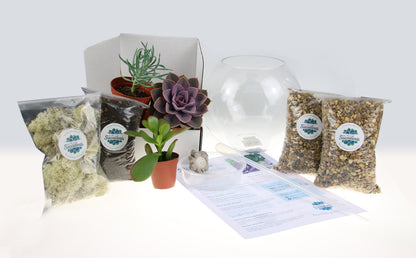 Terrarium Kit, UK Supplier