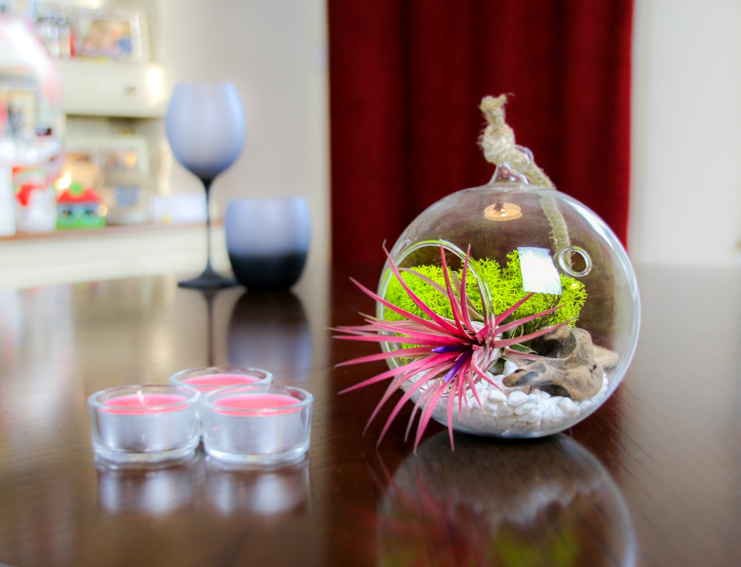 terrarium air plants uk Hanging Air Plant Terrarium Kit in Glass Globe, home accessory gift – The Art of Succulents
