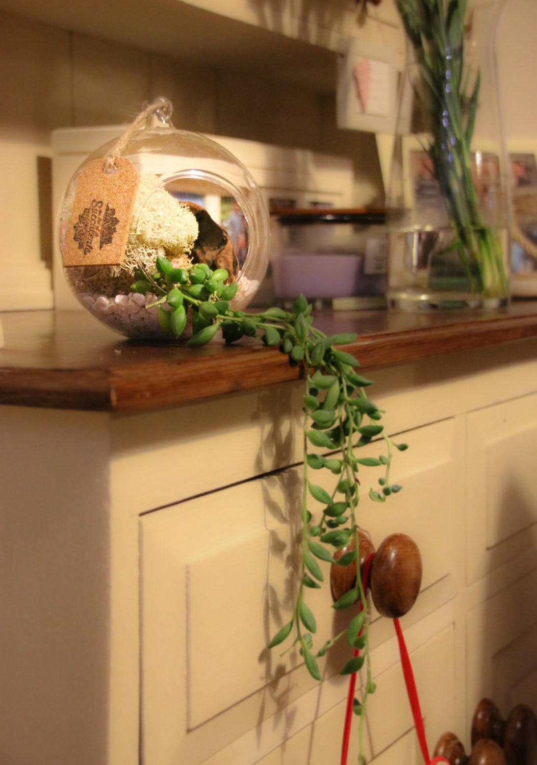 Home Accessory Terrarium to buy in the UK