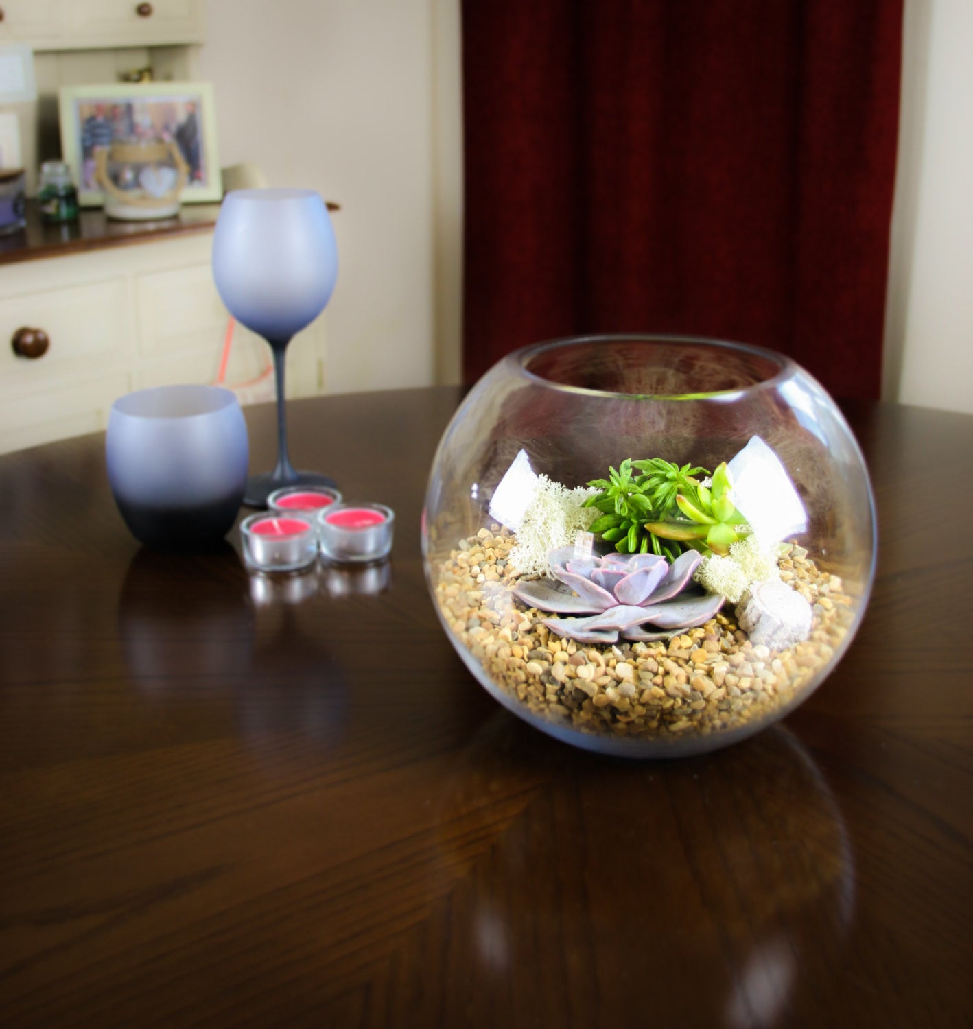 Glass Globe Terrarium Kit with Succulents