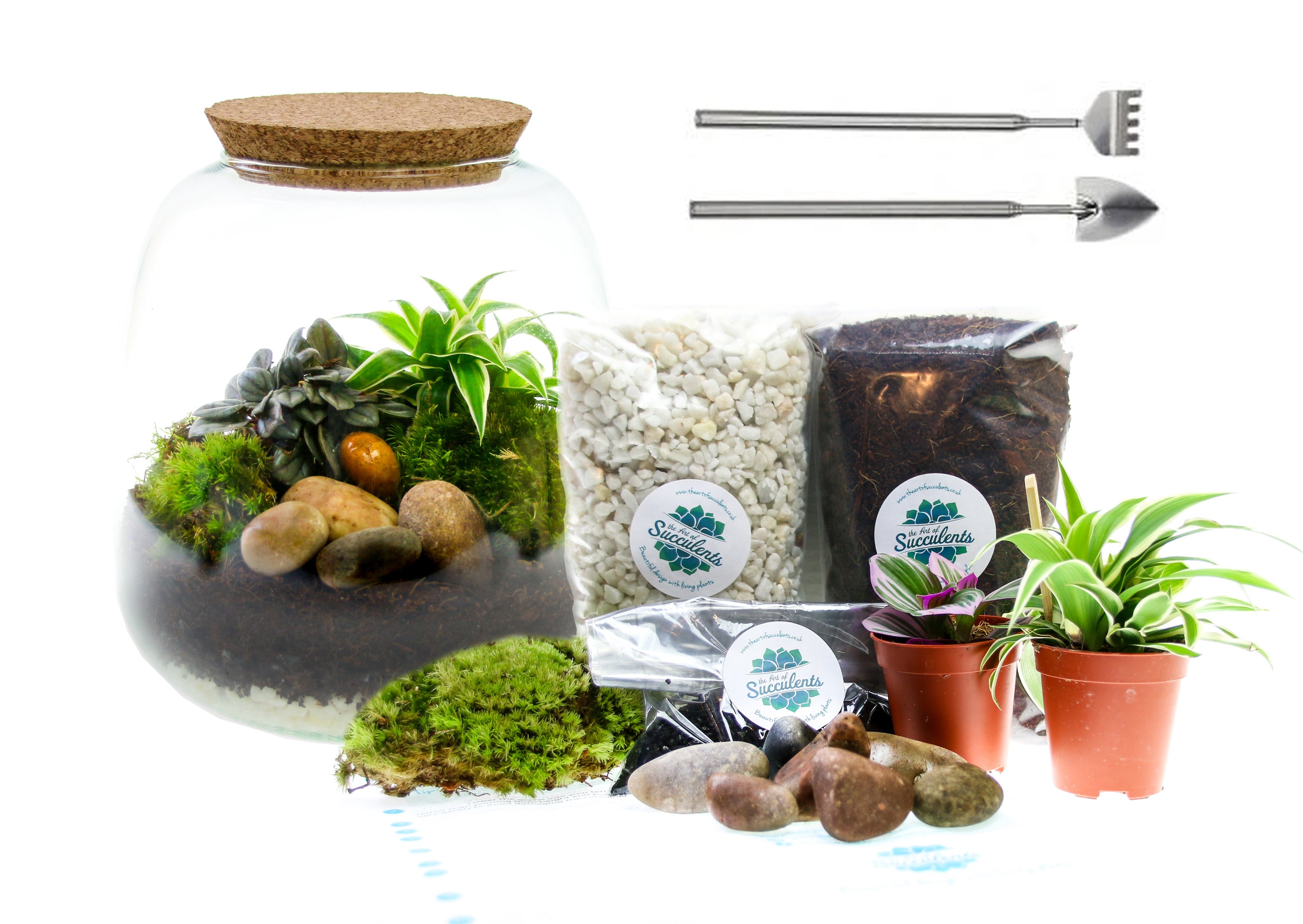 Terrarium with tool set and plants buy online