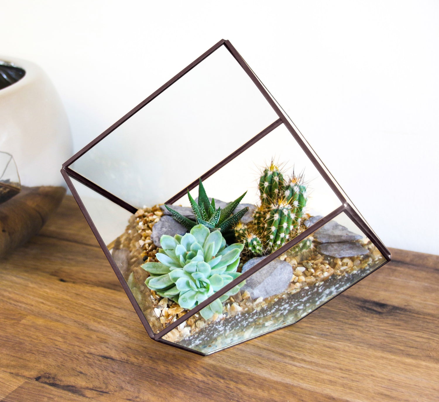 Large cube geometric terrarium