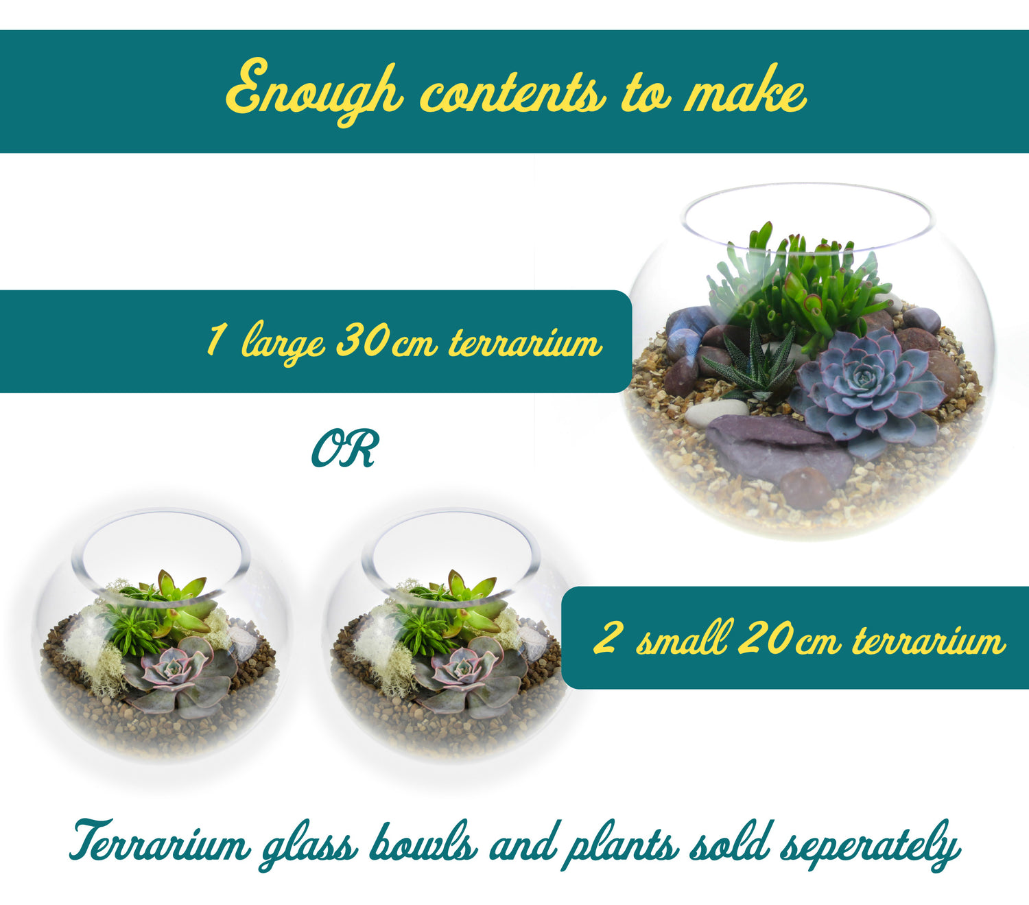 Size guide for terrarium contents