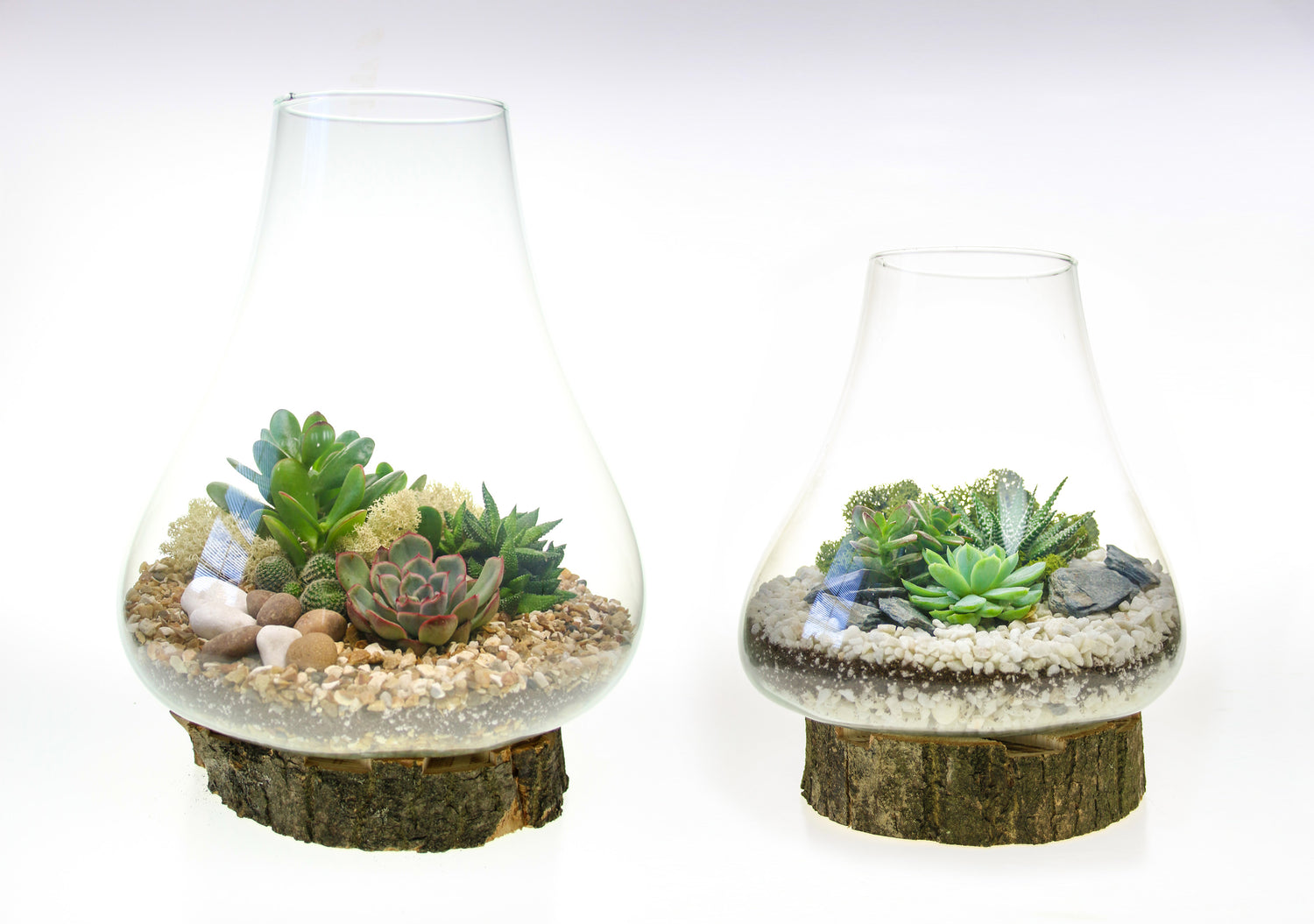 Terrarium set of two, home accessories with plants