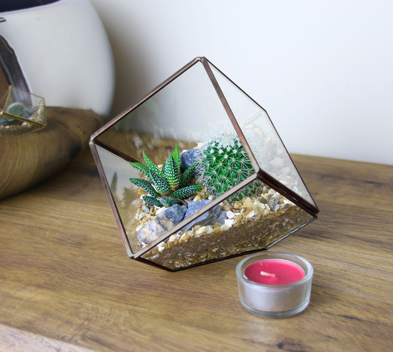 small cactus terrarium in cube design